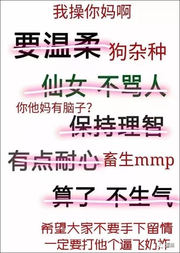 心痛!《中国特色四大养猫悲剧》让我们一起终结吧!