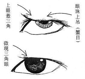 女人面相算命图解(一)