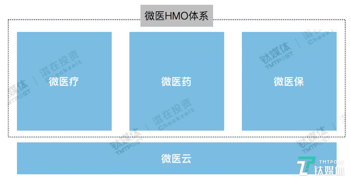 微医联合创始人出任CSO，将推进分拆上市计划 | 钛快讯