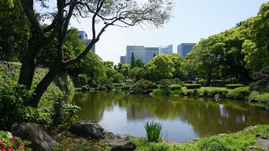 东京可以免费游玩的5大景点推荐
