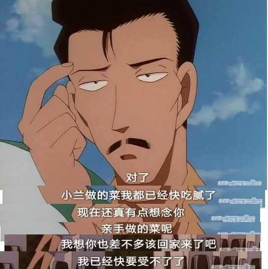 《名侦探柯南》:柯南他们偶然间碰到了小兰的妈妈妃律师
