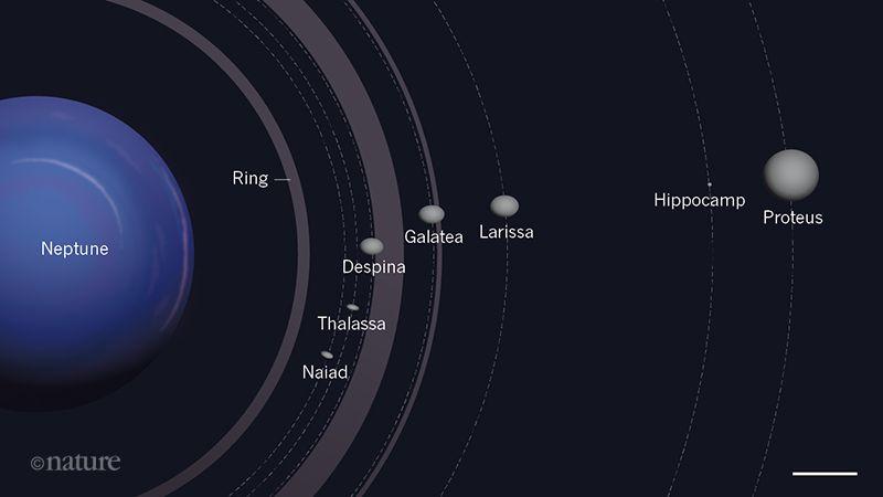 海王星最小卫星有名字了!