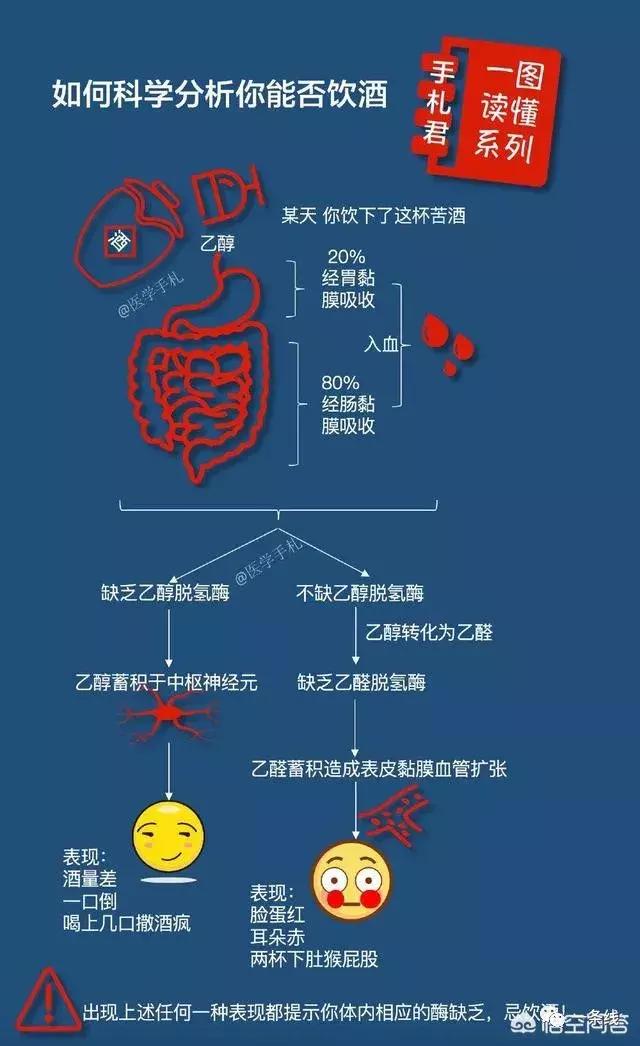 【喝酒会致癌,中国人尤其危险!】这是真的吗?