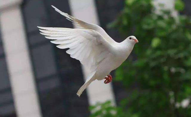 80BD3F3B359903C9FAA06BE5CD88EC7C7F6710FB_size21_w640_h393.jpeg