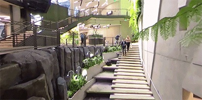 狂砸250多亿！亚马逊花7年时间，造了一个让人自愿加班的办公室