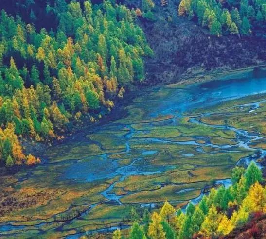 不用去瑞士,成都也要有山地火车了,直达四姑娘山!