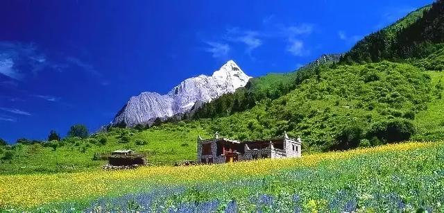 不用去瑞士,成都也要有山地火车了,直达四姑娘山!