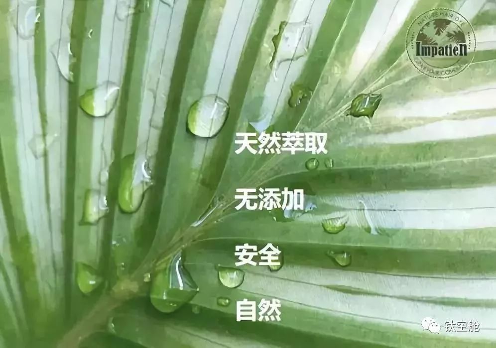 限时买二赠一，植物染发剂不伤发还护发，数次断货，即将售罄，现在剁手还来得及 | 钛空舱
