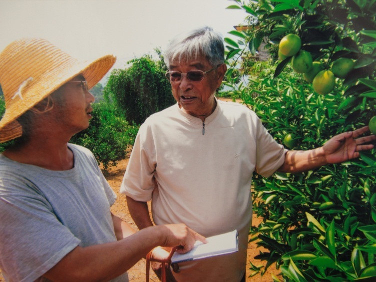 36氪领读 | 褚时健自述：种橙十年