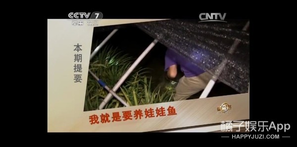 他怎么做个菜就被骂了？