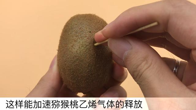 猕猴桃上插一根牙签太厉害了,吃了几十年才发现,学会受用一生