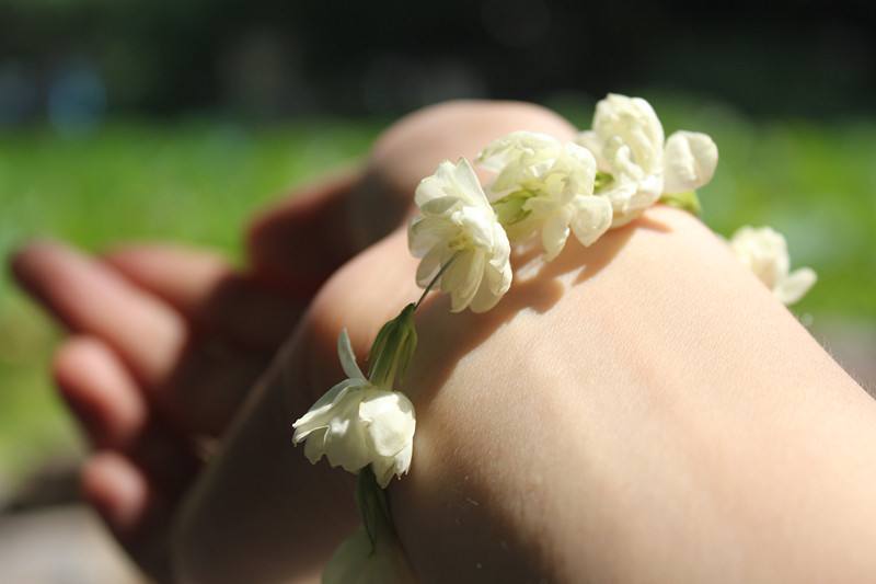 ab0ea73483e34bbda92e3b37c55285d4.jpg