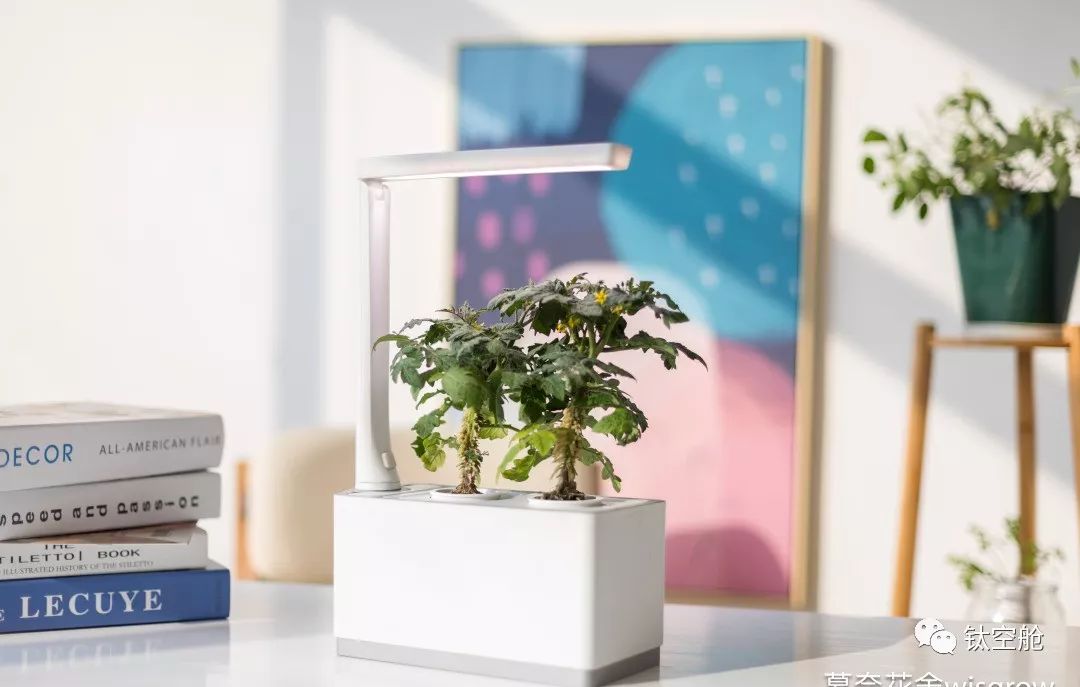能当台灯，能养花，无土养殖智能养花机，开启养花新模式 | 钛空舱