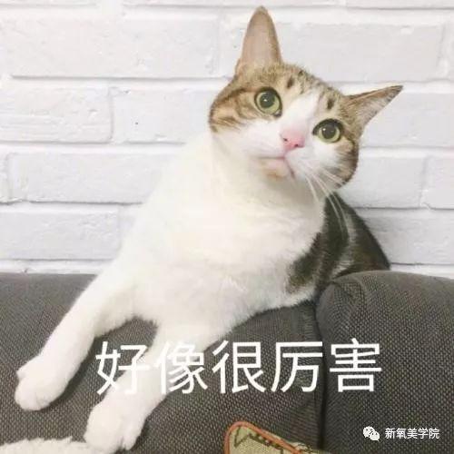 陈妍希动了这个地方，甜美感立刻变成小笼包