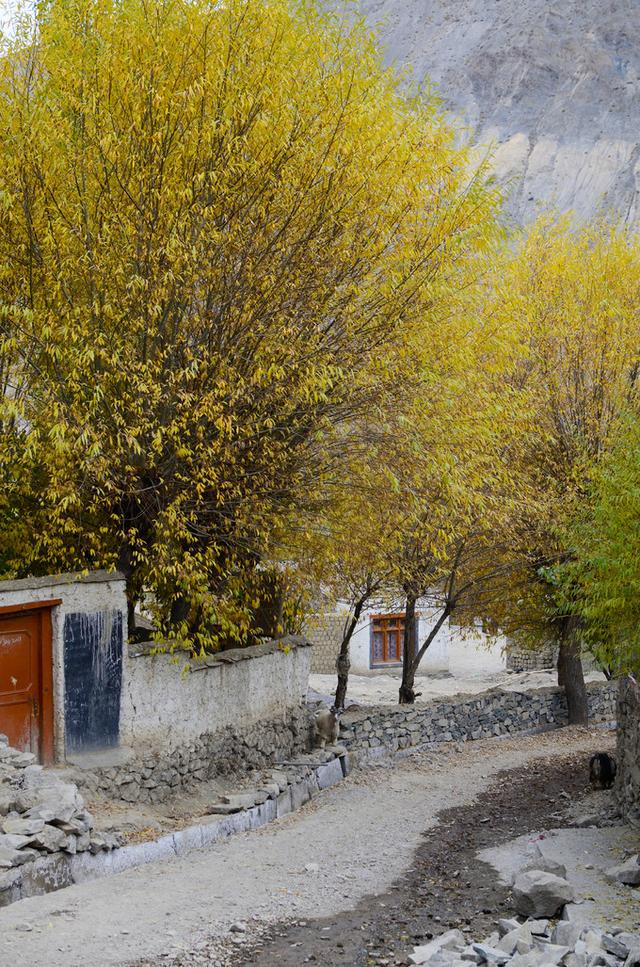 印控克什米尔的拉达克:看了你就知道它有多美