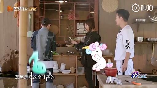 王源杠上杨超越，背后的问题你站谁