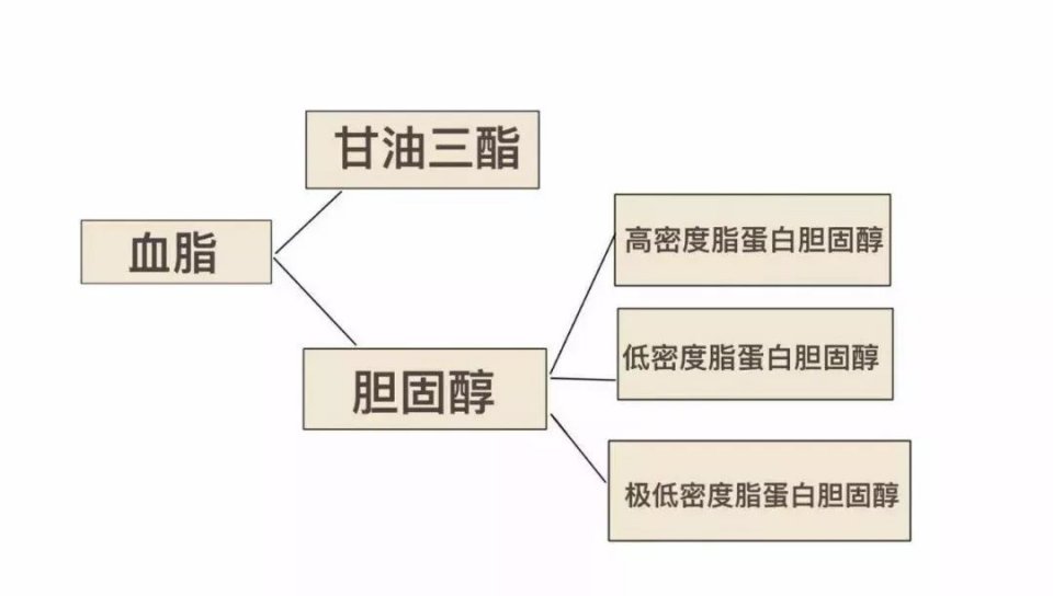 血脂越来越高？身体会有哪些症状？