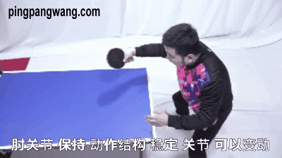 反手拨球像挖掘机铲土,肘关节并非完全固定,要这样去支承最合理