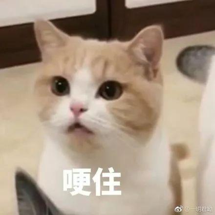 为什么女人整形花样多，男人整形却只有两个方向？