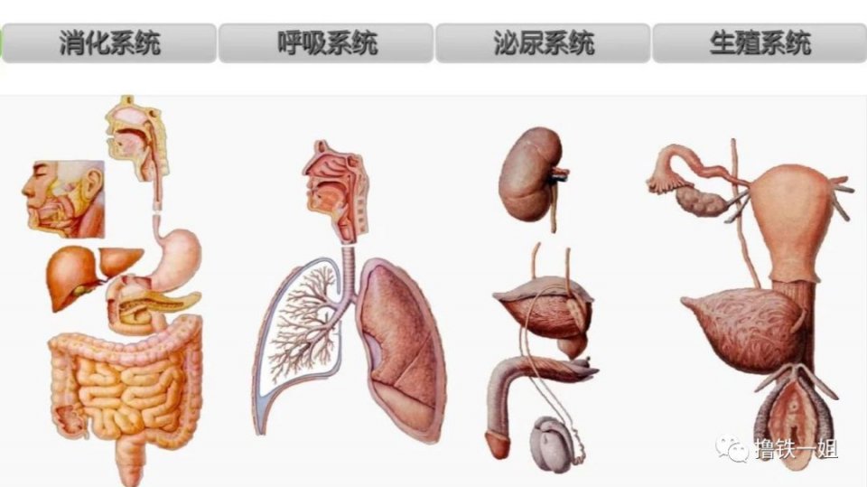 有人无脑吹杨幂X腿性感，怕是没见过宣美增肥16斤之后的腿吧！