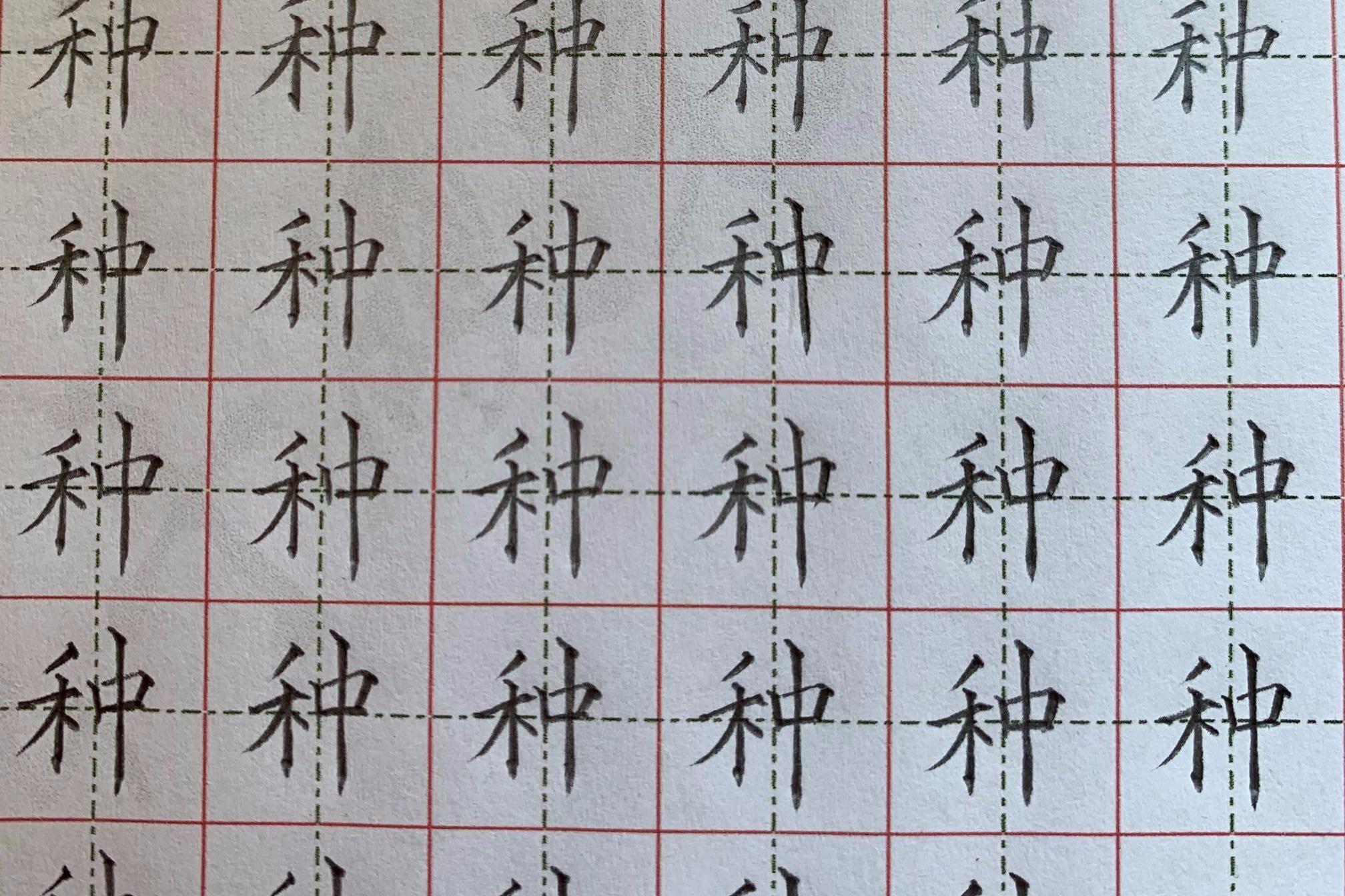 一年级下册铅笔字“种”顿笔练习