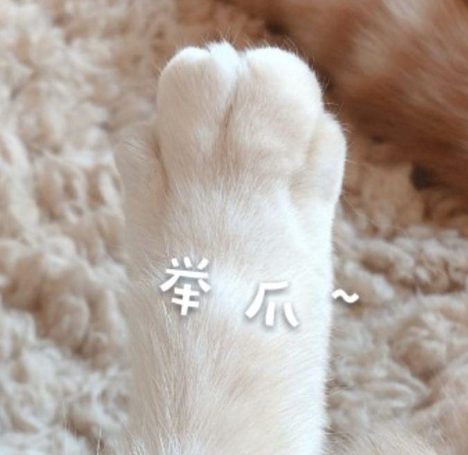 夸爆全网的邱淑贞女儿实锤了她当年因整形退赛的事实？