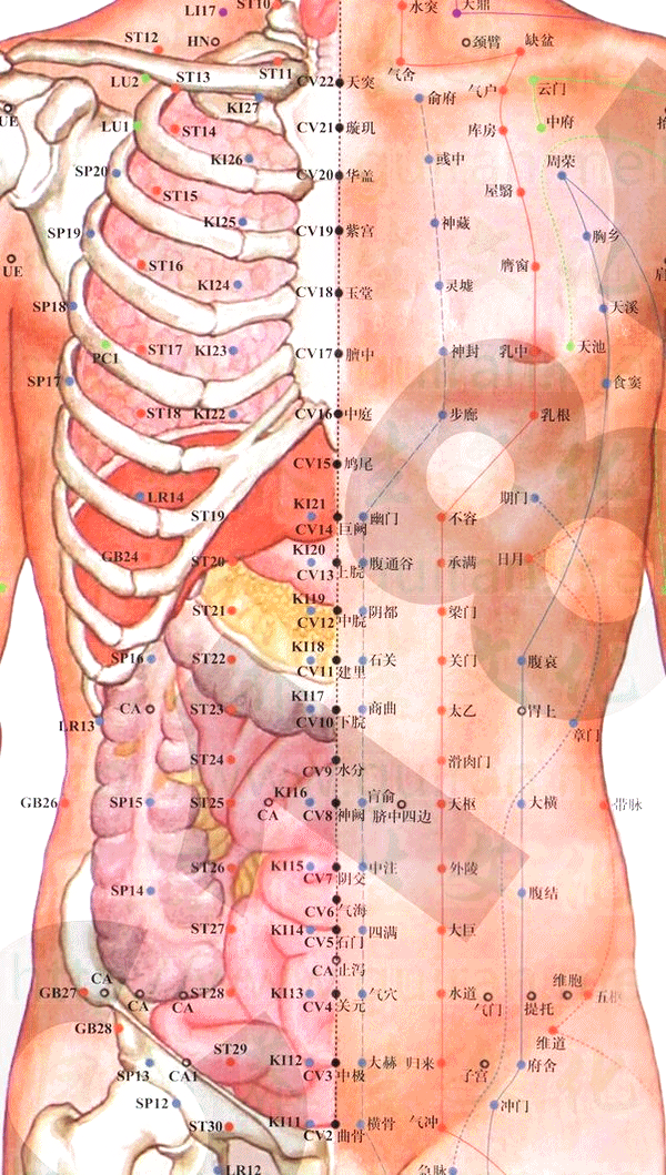 艾灸扶阳固本,7个穴位最重要(附不同年龄段的扶阳固本思路)