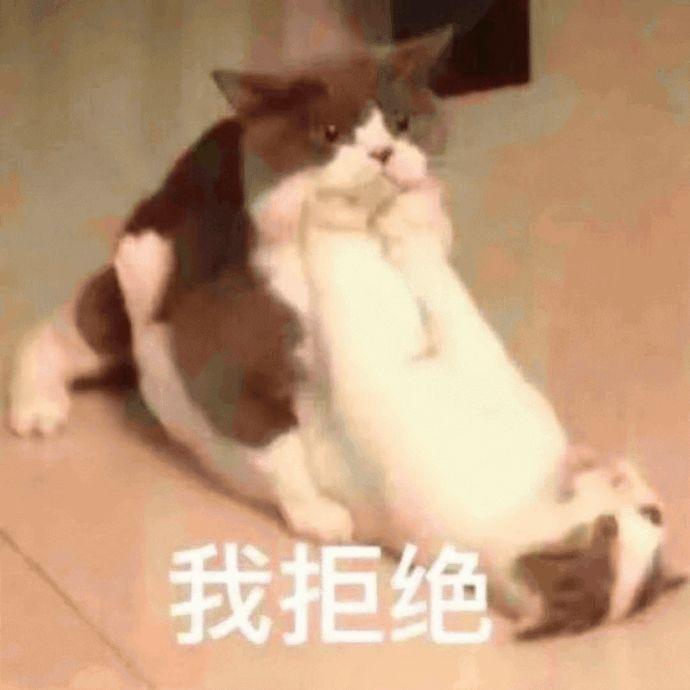 不敢穿裙子、擦口红、害怕众人目光的“框架女孩”两步变身最强星二代！