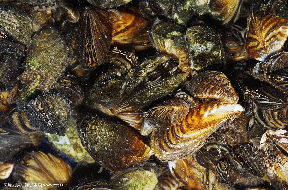 666c5bf9f7fc4b618d187e685b4d51a1.jpg 666c5bf9f7fc4b618d187e685b4d51a1.jpg