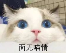 告诉你“前方核能预警”，你就不看了吗？呵，人类！