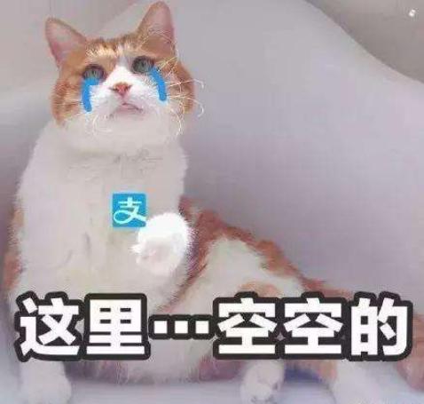 因主人太懒,存钱罐学会了自己动手攒钱!