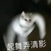 ϱţĸõ˭ΪǸˣ