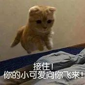 宋慧乔离开韩国崩了？比起滤镜，最致命的变化是这里