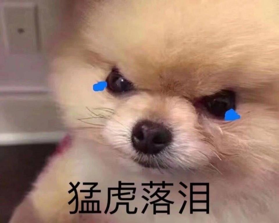 陈都灵被高人指点一夜变美、刘雯偶遇贵人改变一生，可最幸运的还是她！