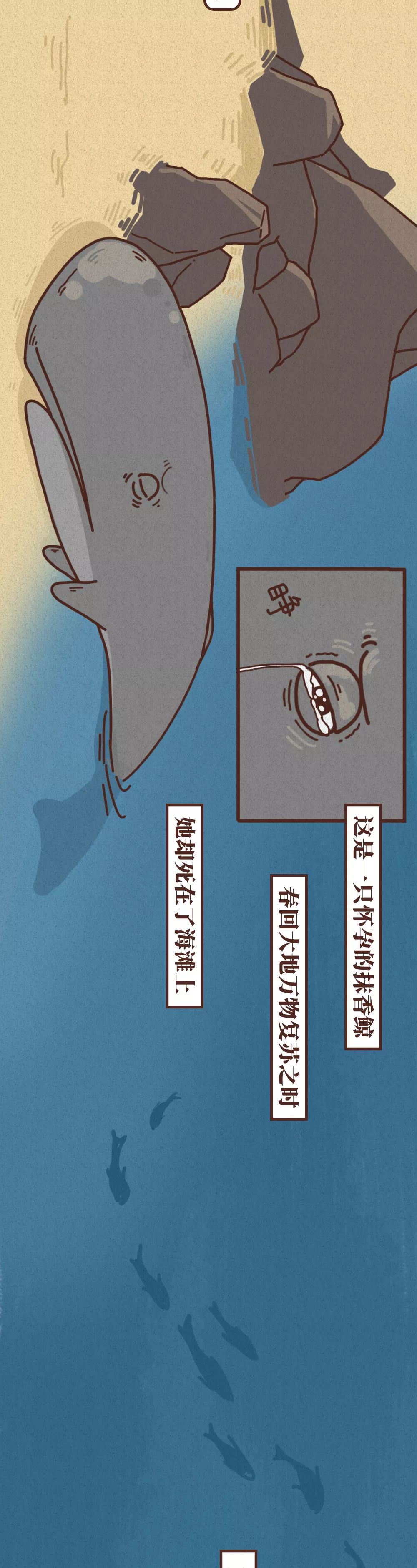 一位怀孕妈妈非正常死亡全过程（横屏观看）