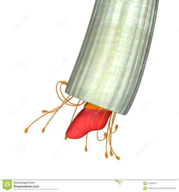 138edeb01dfc4051adf2443375120e62.png 138edeb01dfc4051adf2443375120e62.png