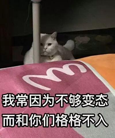 如果朋友圈不能点赞，剧透《复联4》的人会不会少一点？