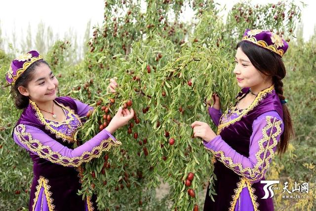 丝绸之路 | 若羌县:风景如画、美食诱人,还有楼兰美女!