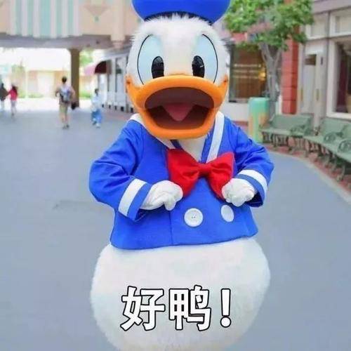 92a08e1298164b16866fc180a37bbf83.png 92a08e1298164b16866fc180a37bbf83.png