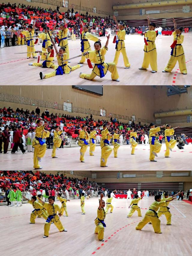 水游城学校武术队在2019蚌埠传统武术比赛中获三项大奖,成绩斐然