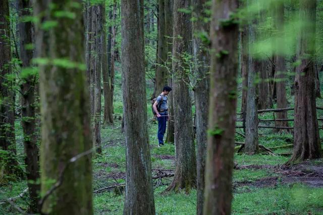 五一去哪玩?咸宁旅游攻略|通城篇