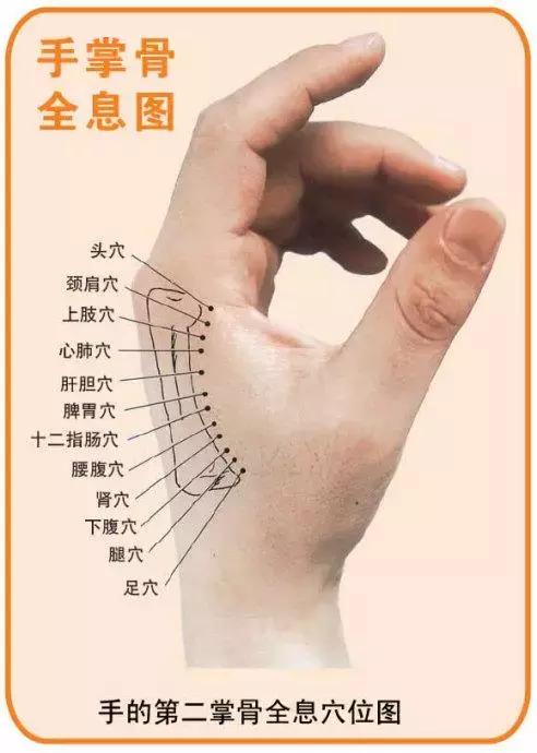 看懂这张图,穴位不用找(人体全息图)