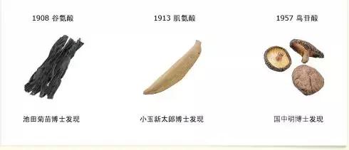 茶与健康 | 茶的鲜味从何而来？