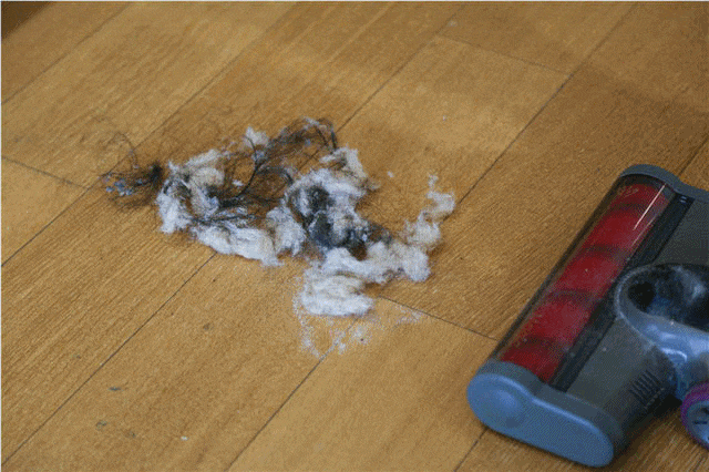 更轻便更省力 莱克魔洁M85 Plus吸尘器评测