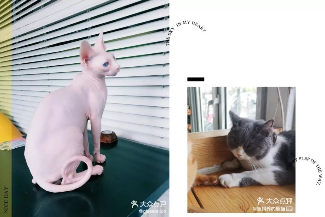 北京的这条宝藏胡同，太好吃了！