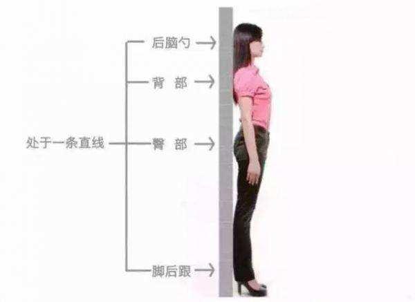 并非站得越久越好,而且长时间站在原地不动也损害健康,站立的同时要多