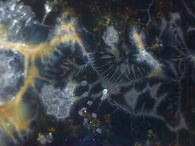 156、瓷器微观典型特征