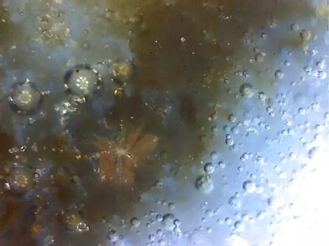 156、瓷器微观典型特征