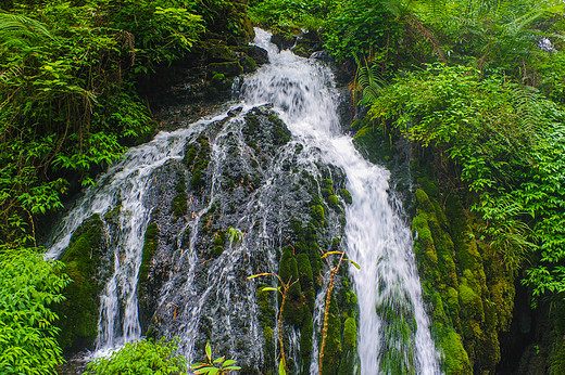 湖北宜昌的这个著名5A景区，适合带着全家人一起来旅游！