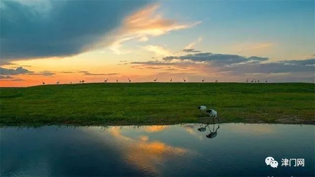 黑龙江齐齐哈尔最值得一去十大景点，你去过没？